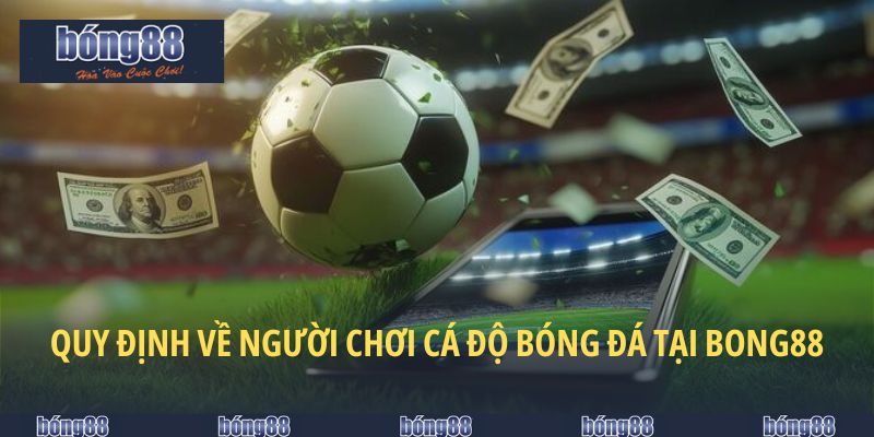 Luật Cá Độ Bóng Đá - Quy Chuẩn Người Mới Chơi Cần Biết 5 Bộ khung quy định với thành viên ghi danh