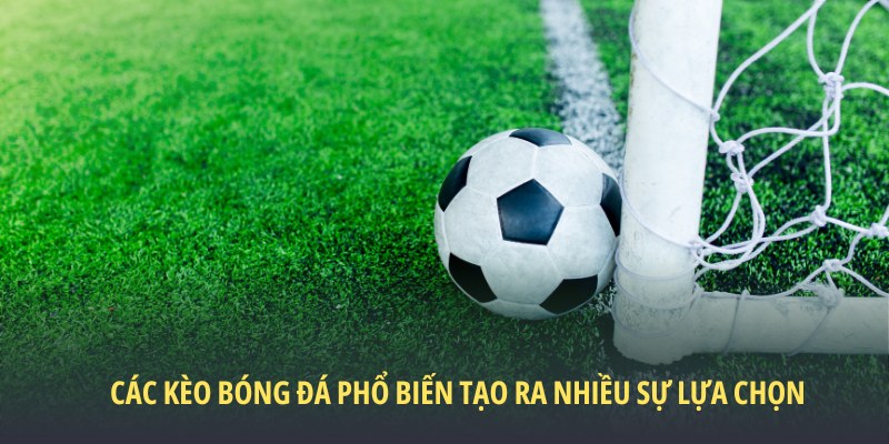 Các Kèo Bóng Đá Phổ Biến - Đa Dạng Lựa Chọn Hấp Dẫn 4 Các kèo bóng đá phổ biến tạo ra nhiều sự lựa chọn