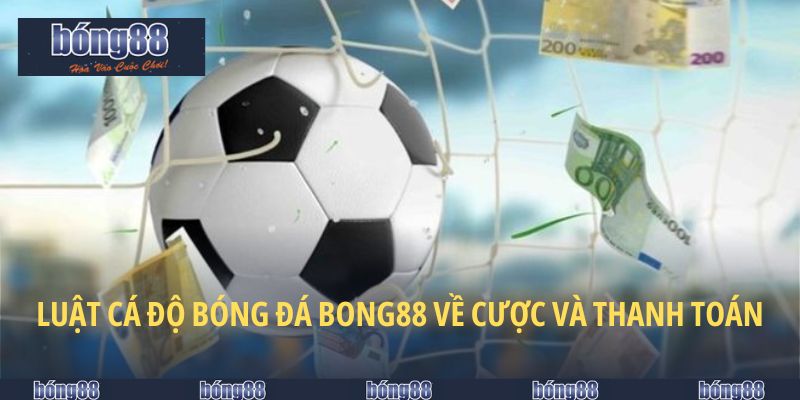 Luật Cá Độ Bóng Đá - Quy Chuẩn Người Mới Chơi Cần Biết 6 Các yêu cầu cơ bản trong hoạt động cá độ