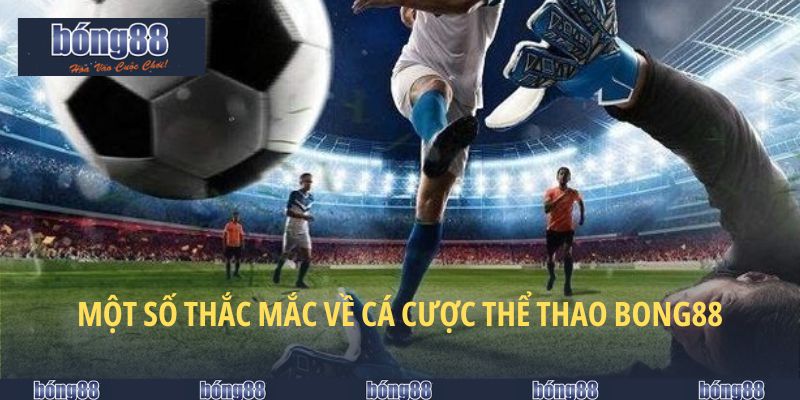 Câu Hỏi Về BONG88 Và Giải Quyết Các Vấn Đề Phát Sinh 6 Làm rõ thắc mắc về chuyên mục thể thao