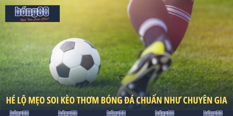 Kèo Thơm Bóng Đá - Kinh Nghiệm Bắt Kèo Chuẩn Như Cao Thủ 6 Hé lộ mẹo soi kèo thơm bóng đá chuẩn như chuyên gia