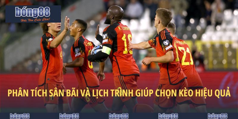 Đội Tuyển Bỉ - Kẻ Thách Thức Âm Thầm Giành Vinh Quang 6 Phân tích sân bãi và lịch trình giúp chọn kèo hiệu quả