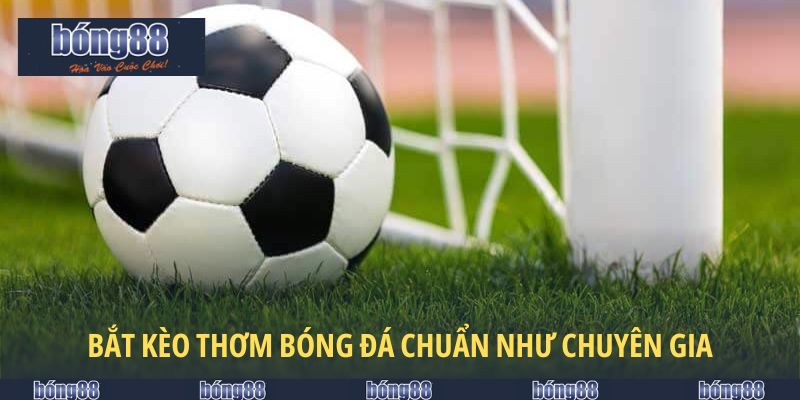 Kèo Thơm Bóng Đá - Kinh Nghiệm Bắt Kèo Chuẩn Như Cao Thủ 5 Phương pháp bắt kèo thơm bóng đá chuẩn như chuyên gia