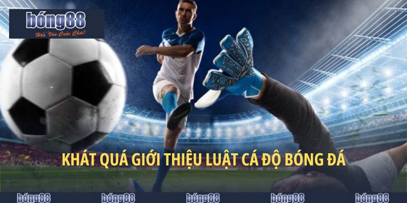 Luật Cá Độ Bóng Đá - Quy Chuẩn Người Mới Chơi Cần Biết 4 Toàn diện bộ luật cá độ bóng đá