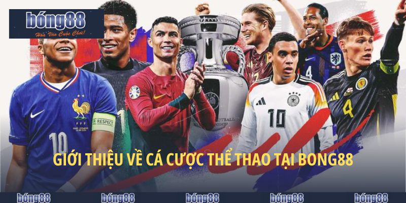 Cá Cược Thể Thao Tại BONG88 - Giải Trí Cực Đỉnh Cho Mọi Tín Đồ 4 Toàn diện về cá cược thể thao tại BONG88