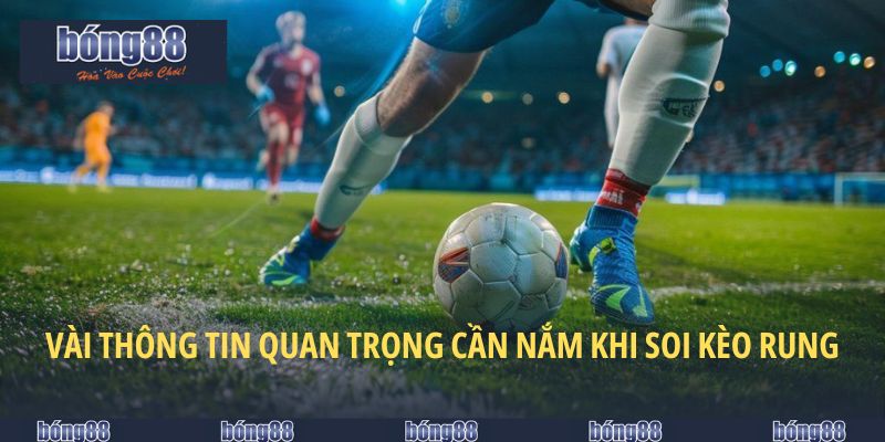 Kèo Rung Bong88 - Bí Kíp Cược Kèo Ăn Nhiều Thưởng Khủng 2025 5 Vài thông tin quan trọng cần nắm khi soi kèo rung